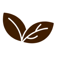 100% plant-based, biodegradable materials